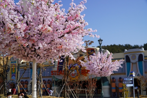 마산로봇랜드에 설치된 벚꽃등의 모습